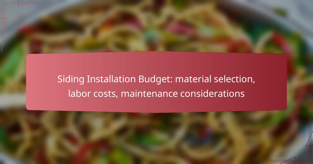 Siding Installation Budget: material selection, labor costs, maintenance considerations